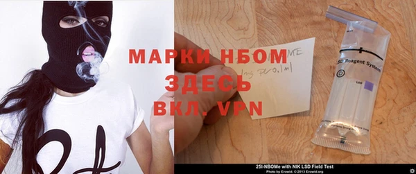 прущий лед Алзамай