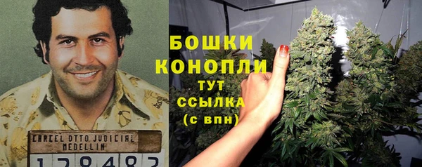 прущий лед Алзамай