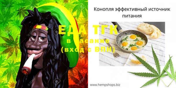 прущий лед Алзамай