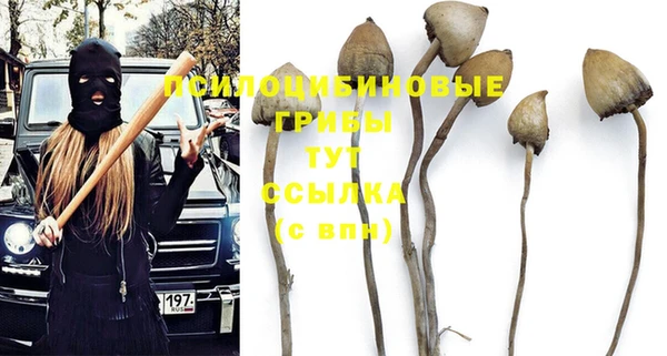 прущий лед Алзамай