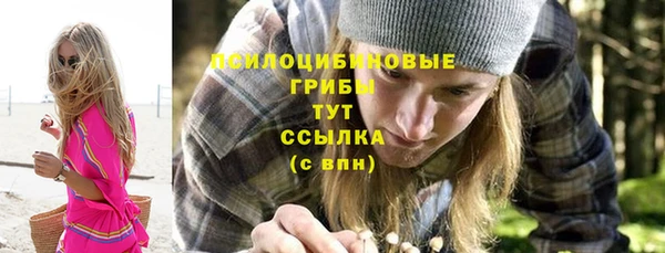 прущий лед Алзамай