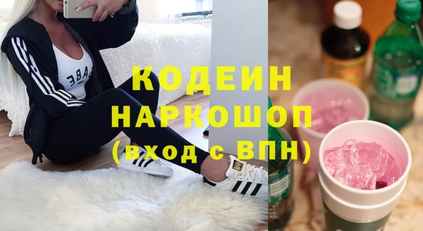 прущий лед Алзамай