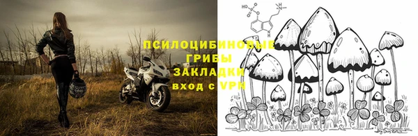 прущий лед Алзамай