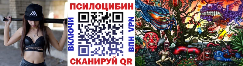 Псилоцибиновые грибы GOLDEN TEACHER наркотики кракен ссылки Исилькуль